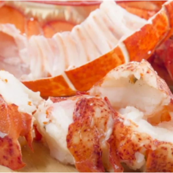 Lobster Meat