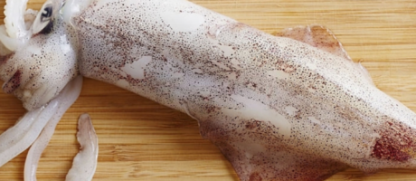 Squid-Whole