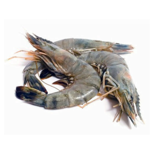 Fresh Tiger Prawns (25 – 30 Pcs) 1 Kg