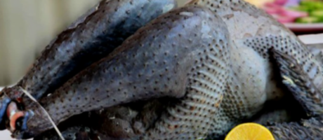 kadaknath-Chicken-1pc-1100-–-1200-Gms-Cleaned