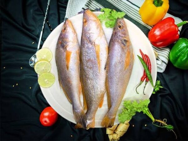 Bhola (Chogi)