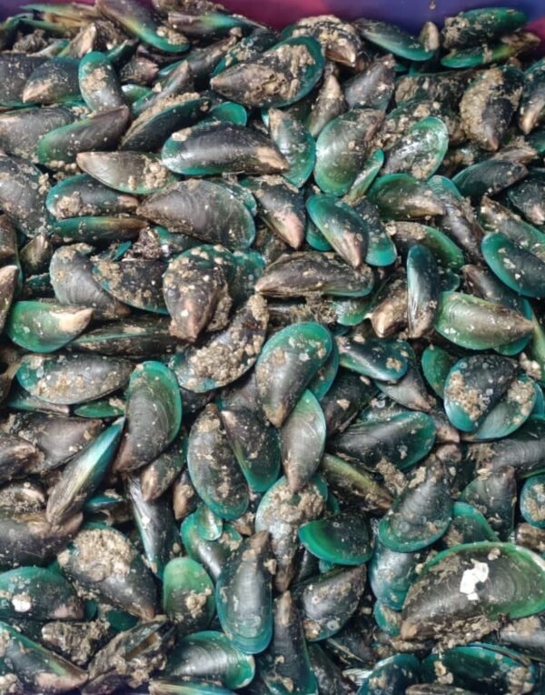 green muscle